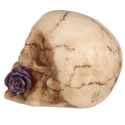 Dekoracyjna Czaszka z fioletową różą w zębach - skull 7cm