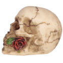 Dekoracyjna Czaszka z czerwoną różą w zębach - skull 7cm