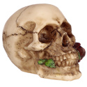 Dekoracyjna Czaszka z czerwoną różą w zębach - skull 7cm