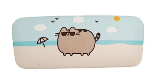 Etui na okulary przeciwsłoneczne Pusheen Cat
