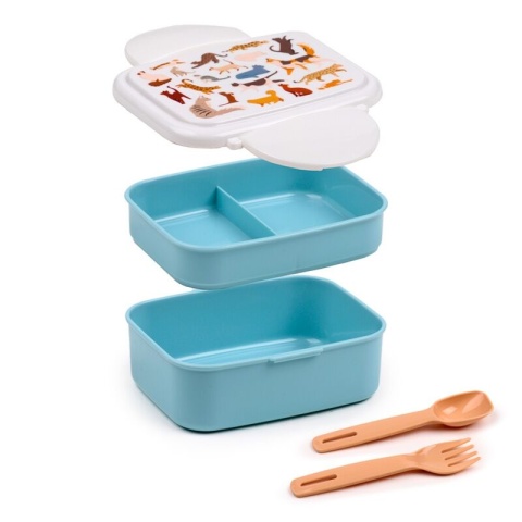 Pudełko na lunch Bento Clip Lock ze sztućcami Feline Fine Cats - Koty