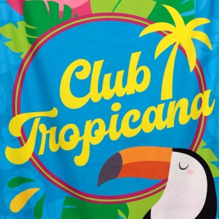 Ręcznik plażowy z mikrofibry - Flamingo Club Tropicana 180x85cm