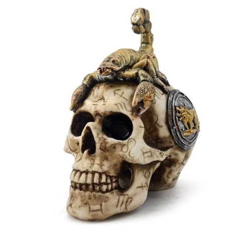 Czaszka ze skorpionem - skull 16cm