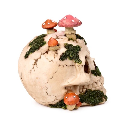 Czaszka z muchomorami i mchem - skull 15cm