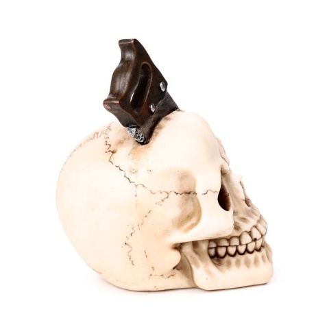 Przepiłowana Czaszka - skull 18cm