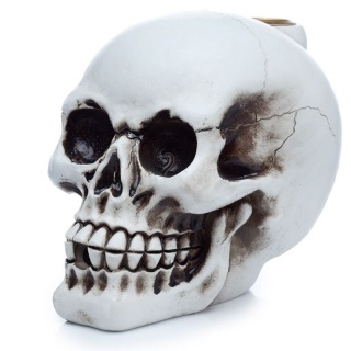 Kadzielnica z przepływem zwrotnym Biała Czaszka - Skull