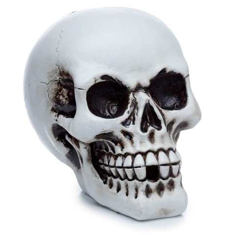 Kadzielnica z przepływem zwrotnym Biała Czaszka - Skull